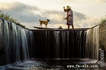 ภาพรางวัลชนะเลิศ วิถีชีวิตยอดเยี่ยม กรมชลประทาน ปี56